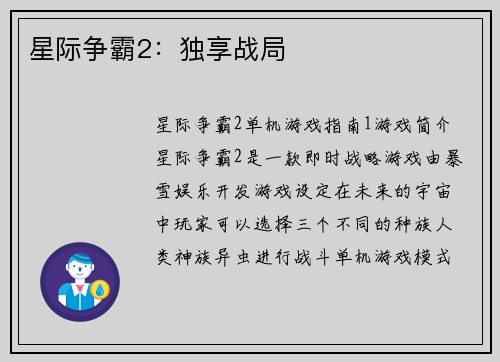 星际争霸2：独享战局
